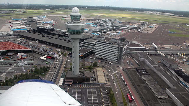 Wink EHAM20
