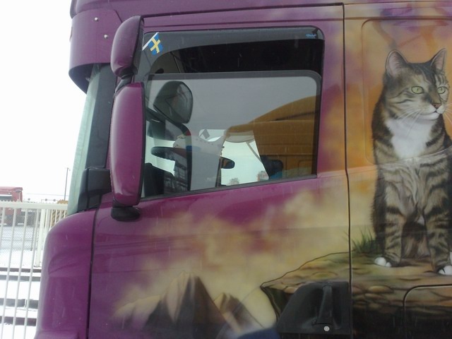 Wink Fotoo1