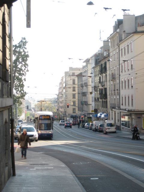 Wink kogeneve53
