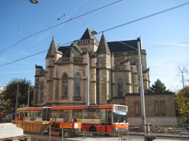 Wink kogeneve55