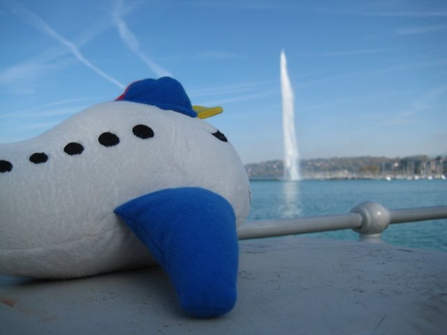 Wink kogeneve56