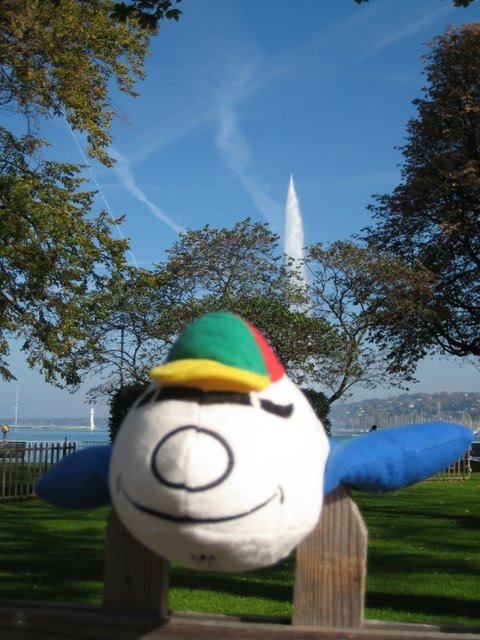 Wink kogeneve58