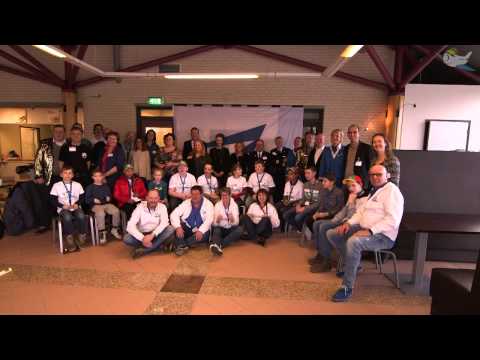 CAE 2017